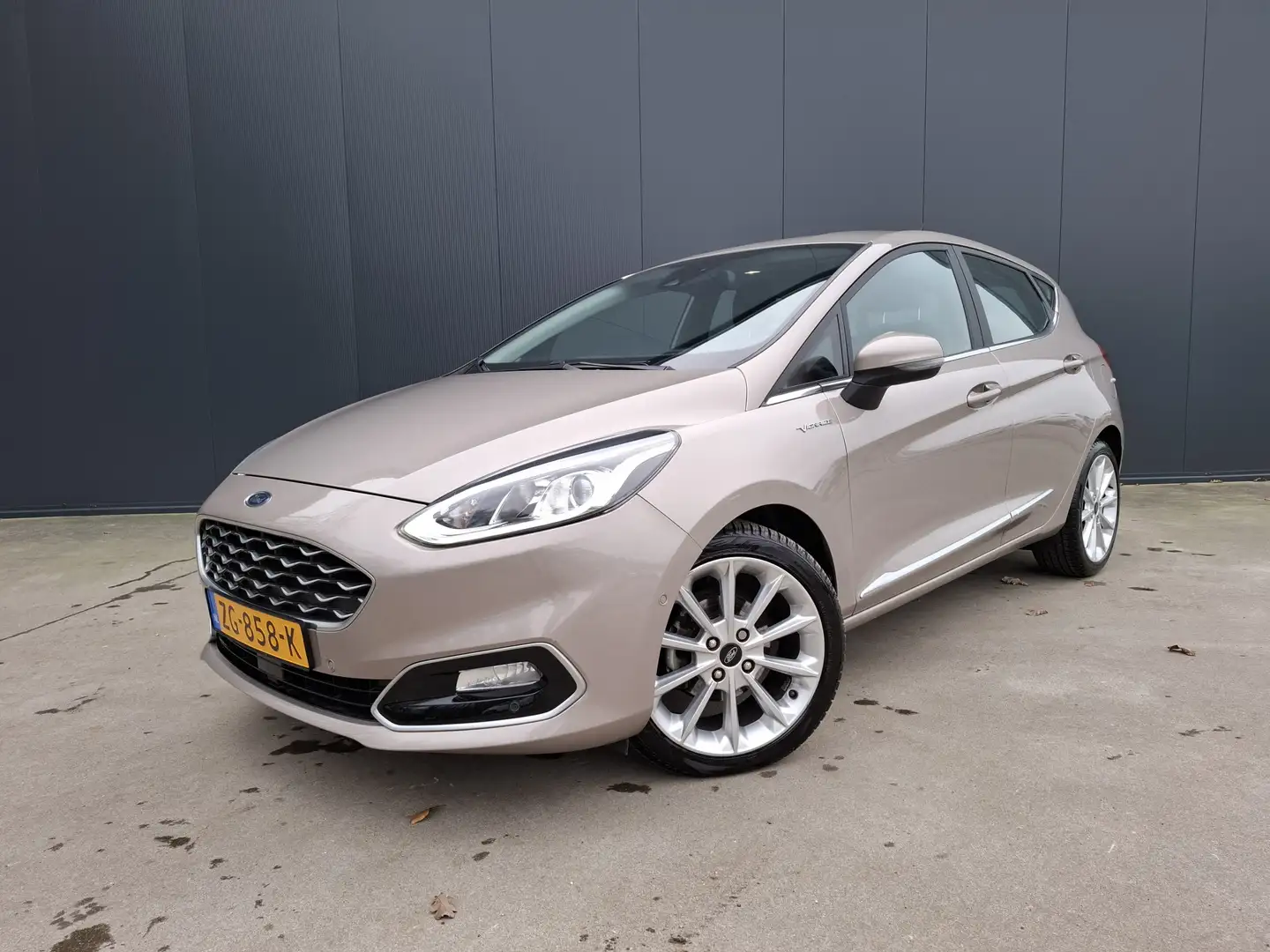 Ford Fiesta 1.0 EcoBoost Vignale CRUISE NAVI CAMERA ECC XENON Gris - 1