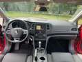 Renault Megane Megane Grandtour ENERGY TCe 140 EDC BUSINESS Rouge - thumbnail 14