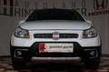Fiat Sedici 2,0 JTD 4x4 ZAHNRIEMEN NEU Weiß - thumbnail 4