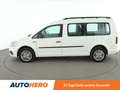 Volkswagen Caddy 2.0 TDI Maxi Aut.*NAVI*XENON*ACC*PLA* Weiß - thumbnail 3
