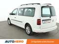 Volkswagen Caddy 2.0 TDI Maxi Aut.*NAVI*XENON*ACC*PLA* Weiß - thumbnail 4