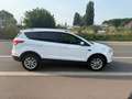 Ford Kuga Kuga 2.0 TDCi FWD **CARNET COMPLTE** - thumbnail 4