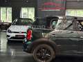 MINI Cooper SD Countryman All4/Panorama/Ambiente/Navi Verde - thumbnail 32