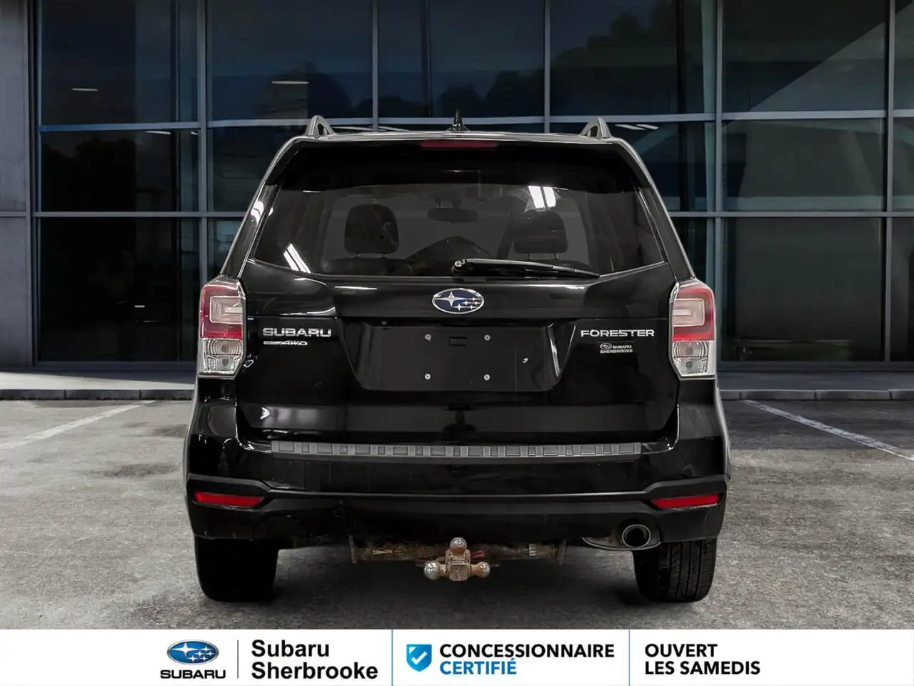 Subaru Forester fotografie Subaru Forester