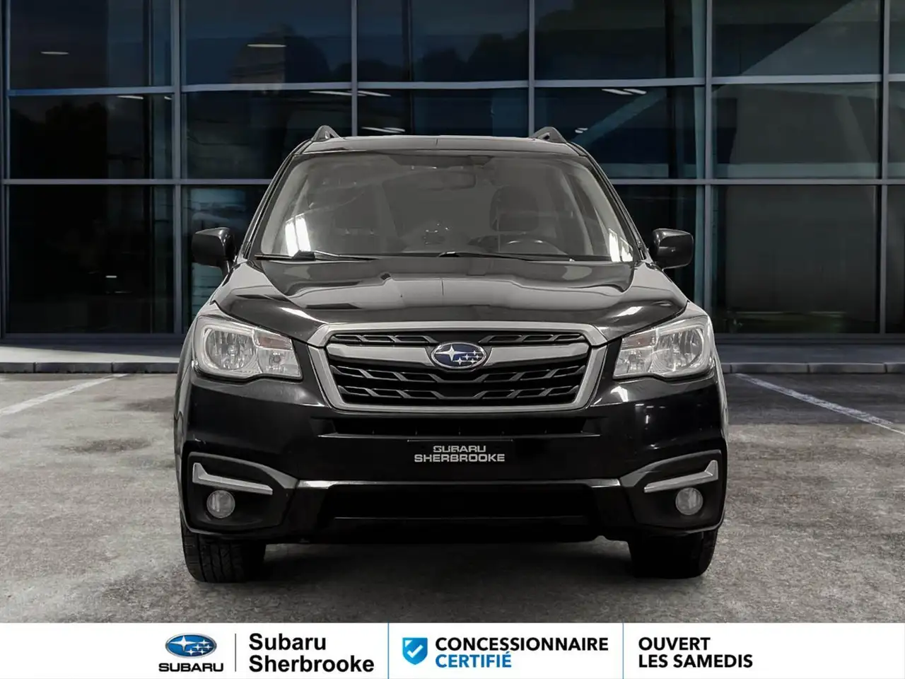 Subaru Forester fotografie Subaru Forester