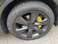 Infiniti FX FX37 Aut Navi Leder Dak Xenon Camera 21" Violett - thumbnail 22