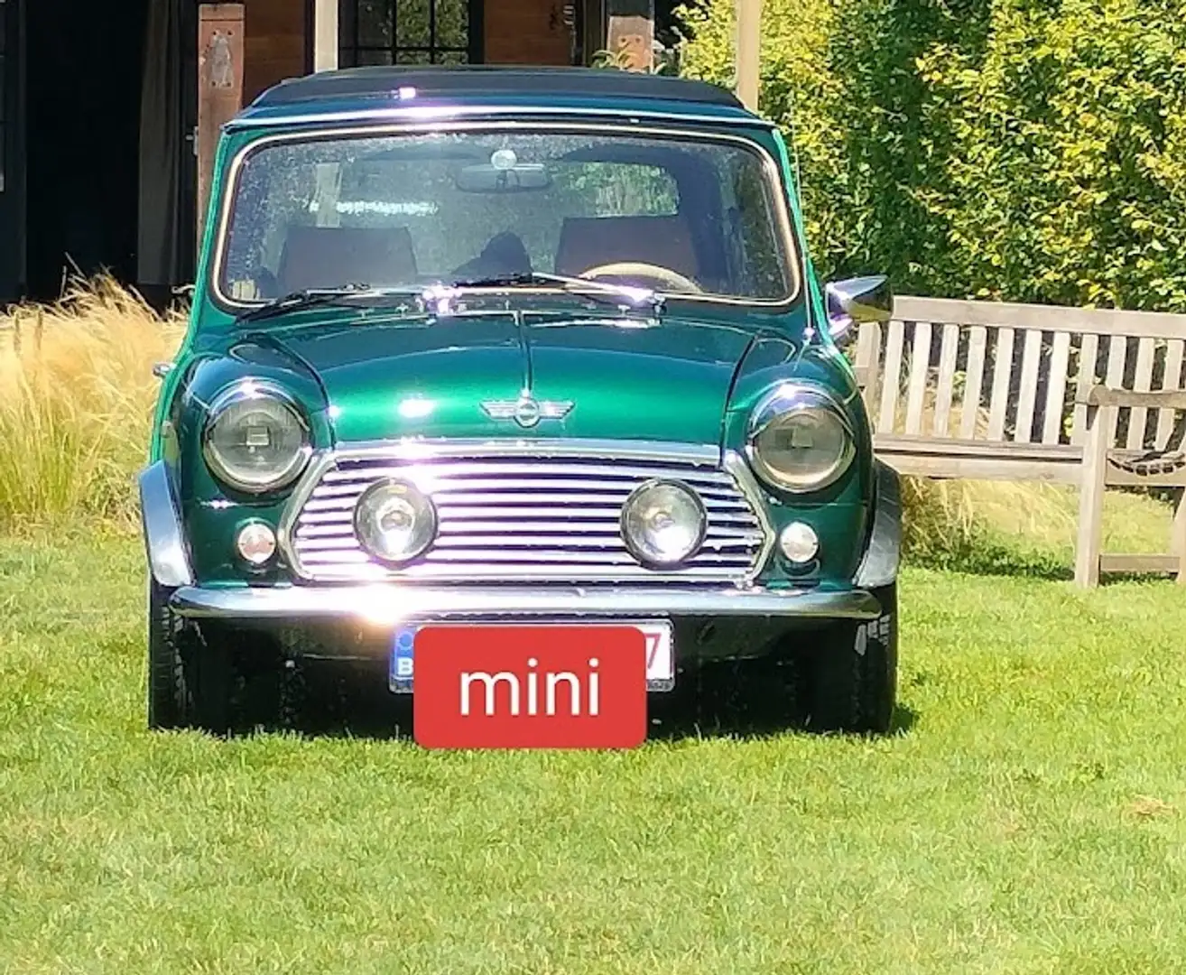 Rover MINI Cabriolet Grün - 1