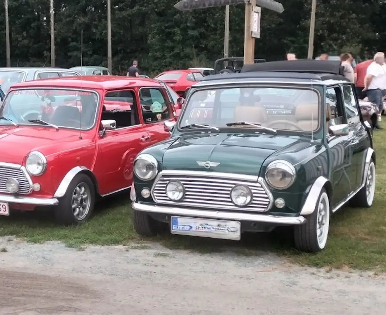Rover MINI Cabriolet Grün - 2