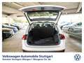 Volkswagen Tiguan Allspace Highline 1.5 TSI DSG  Navi  AHK Weiß - thumbnail 12