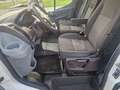 Ford Transit FT 350 L3 Chasis Ambiente Tr. Tra. 155 Blanco - thumbnail 6