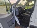 Ford Transit FT 350 L3 Chasis Ambiente Tr. Tra. 155 Blanco - thumbnail 5
