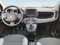 Fiat Panda 1.0 Gse City Live Hybrid Blanco - thumbnail 9