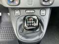 Fiat Panda 1.0 Gse City Live Hybrid Blanco - thumbnail 20