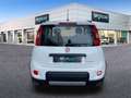 Fiat Panda 1.0 Gse City Live Hybrid Blanco - thumbnail 6