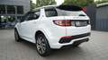 Land Rover Discovery Sport DISCOVERY SPORT P300e PLUG-IN R-DYNAMIC HSE*PANO Weiß - thumbnail 13