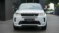 Land Rover Discovery Sport DISCOVERY SPORT P300e PLUG-IN R-DYNAMIC HSE*PANO Weiß - thumbnail 14