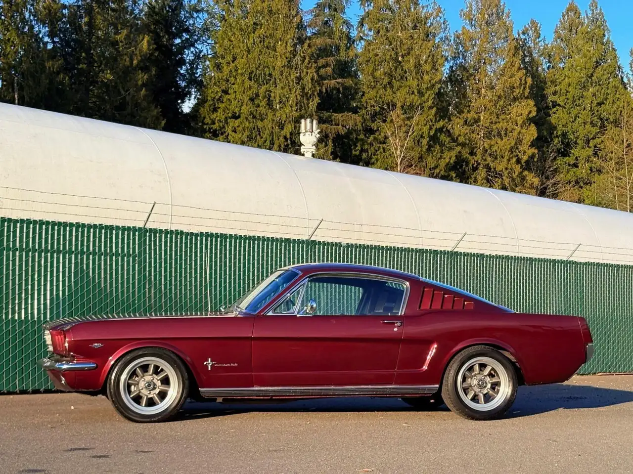 Ford Mustang Fastback, foto 3