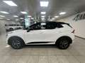 Kia Sportage Sportage 1.6 tgdi hev GT-line Plus 210cv auto Bianco - thumbnail 4