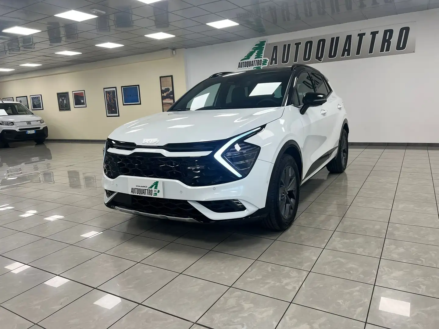 Kia Sportage Sportage 1.6 tgdi hev GT-line Plus 210cv auto Bianco - 2