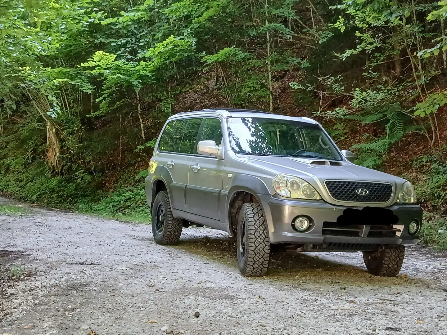 Hyundai Terracan 2,9 CRDi Executive - 1