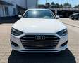 Audi A4 Avant 35 TDI advanced S-Tronic LED/SHZ/1HAND Blanc - thumbnail 2