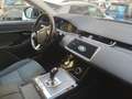 Land Rover Range Rover Evoque RANGE ROVER EVOQUE BUSINESS 20 TURBO DIESEL 150 CV - thumbnail 8