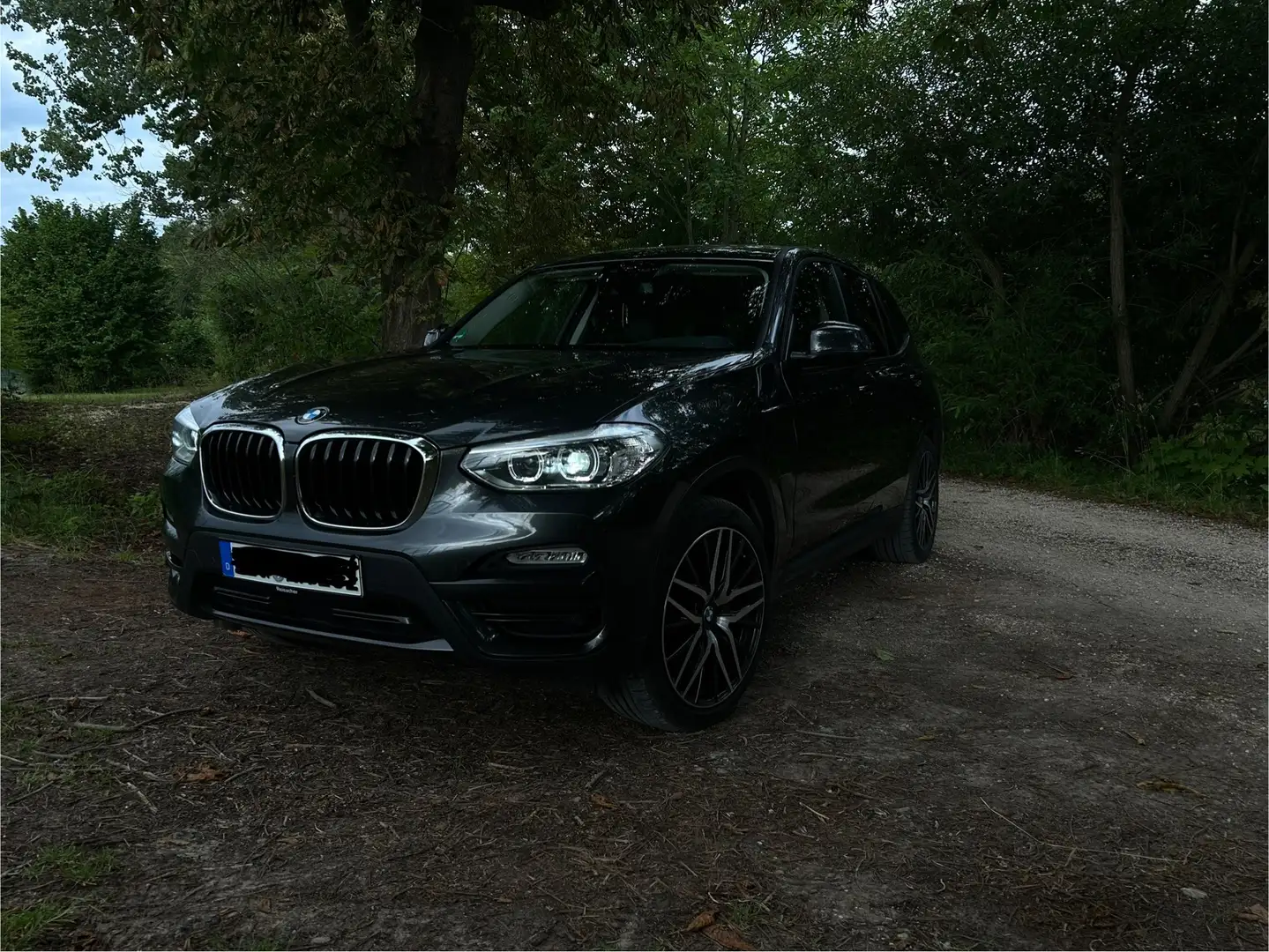 BMW X3 xDrive20dxline - 1