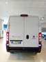 Fiat Ducato Furgone Lastrato 35q Mh2 122cv BATTERIA 47kwh Bianco - thumbnail 5