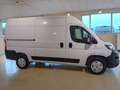 Fiat Ducato Furgone Lastrato 35q Mh2 122cv BATTERIA 47kwh Bianco - thumbnail 4