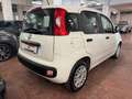 Fiat Panda Panda III 2016 1.2  easypower Gpl 69cv my19 Bianco - thumbnail 5