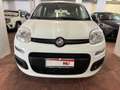 Fiat Panda Panda III 2016 1.2  easypower Gpl 69cv my19 Bianco - thumbnail 2