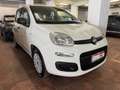Fiat Panda Panda III 2016 1.2  easypower Gpl 69cv my19 Bianco - thumbnail 3