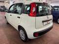 Fiat Panda Panda III 2016 1.2  easypower Gpl 69cv my19 Bianco - thumbnail 4