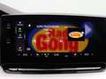 Skoda Octavia Style 2.0 TDI / Matrix, Navi, AHK, LED Noir - thumbnail 14