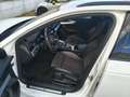 Audi A4 allroad A4 Allrad quattro 2,0 TDI S-line Sport s-tronic Weiß - thumbnail 4