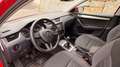 Skoda Octavia Octavia Combi 1,6 TDI Active 3x4.290,- Rot - thumbnail 10