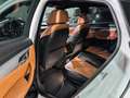 BMW X6 M50 d Pure Extravagance+adapt.Light Weiß - thumbnail 16