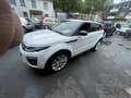 Land Rover Range Rover Evoque SE Dynamic *2,0 D 180 PS* Weiß - thumbnail 5