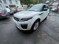 Land Rover Range Rover Evoque SE Dynamic *2,0 D 180 PS* Weiß - thumbnail 4