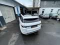 Land Rover Range Rover Evoque SE Dynamic *2,0 D 180 PS* Weiß - thumbnail 8