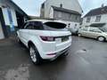 Land Rover Range Rover Evoque SE Dynamic *2,0 D 180 PS* Weiß - thumbnail 7