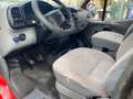 Ford Transit Rouge - thumbnail 5