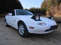 Mazda MX-5 MX-5+S/V+16V Weiß - thumbnail 7