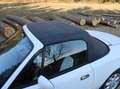 Mazda MX-5 MX-5+S/V+16V Weiß - thumbnail 23