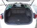 Volkswagen Passat Variant Business*LED*ACC*AppConnect*AHK* Weiß - thumbnail 12