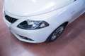 Lancia Ypsilon 1.2 Gold Gpl 69cv - thumbnail 15
