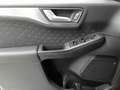 Ford Kuga Kuga 2.0 EcoBlue 4x4 Aut. TITANIUM AHK Bleu - thumbnail 4