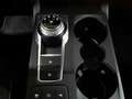 Ford Kuga Kuga 2.0 EcoBlue 4x4 Aut. TITANIUM AHK Bleu - thumbnail 15