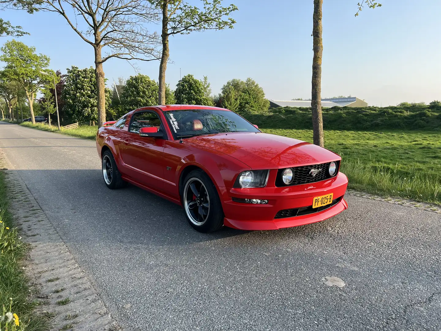 Ford Mustang GT 4.6L V8 manual Rood - 1