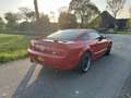 Ford Mustang GT 4.6L V8 manual Rood - thumbnail 9